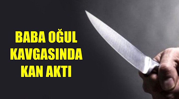 Baba oğul kavgasında kan aktı