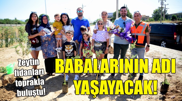 Babalarının adını zeytin ağaçlarıyla yaşatacaklar!