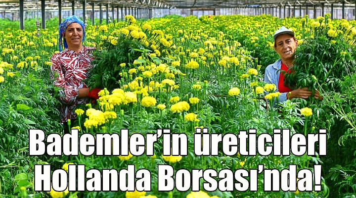 Bademler’in çiçek üreticisi Hollanda Borsası’nda!