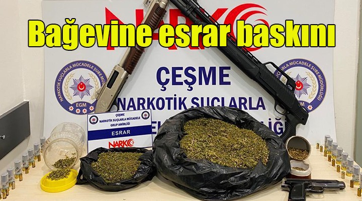 Bağ evine uyuşturucu baskını: 1 tutuklama