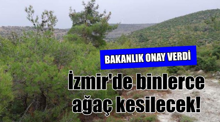 Bakanlık onay verdi... İzmir de binlerce ağaç kesilecek!