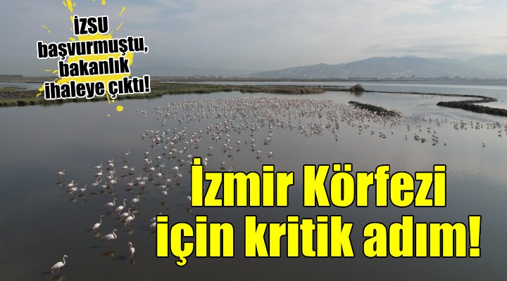 Bakanlıktan İzmir Körfezi için kritik ihale!