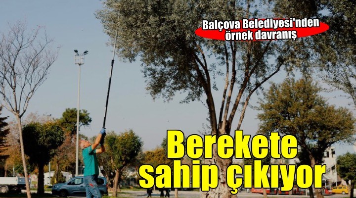 Balçova Belediyesi nden kentin bereketine sahip çıkan örnek çalışma