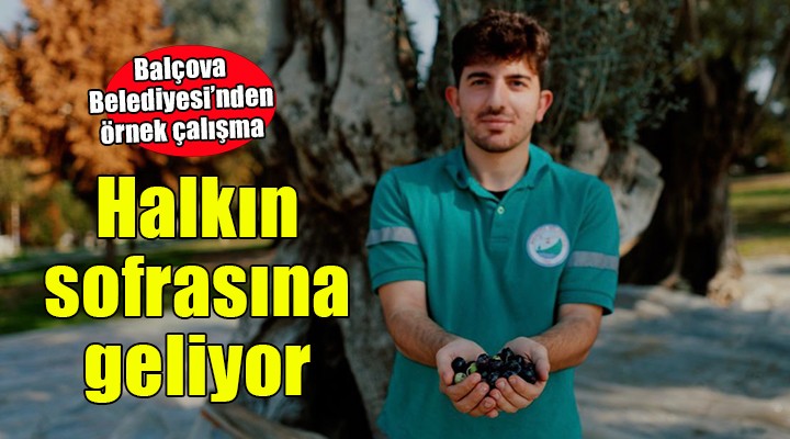 Balçova Belediyesi nden kentin bereketine sahip çıkan örnek çalışma