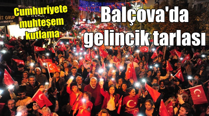 Balçova da gelincik tarlası