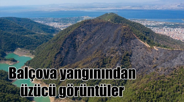 Balçova yangınından üzücü görüntüler