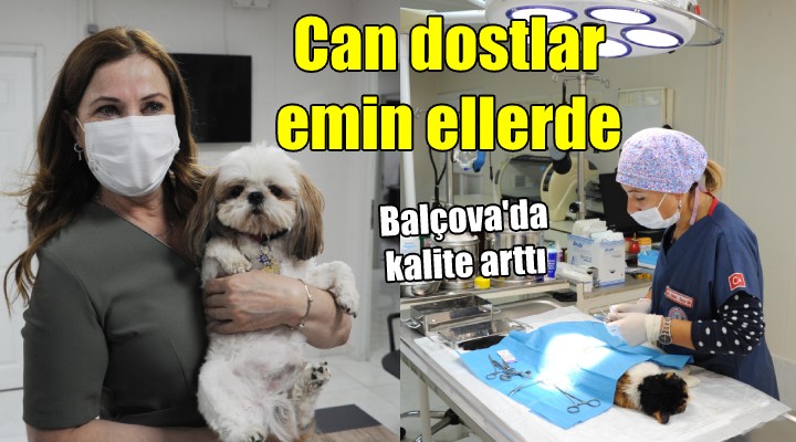 Balçova’nın can dostları emin ellerde