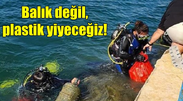 Balık değil, plastik yiyeceğiz!