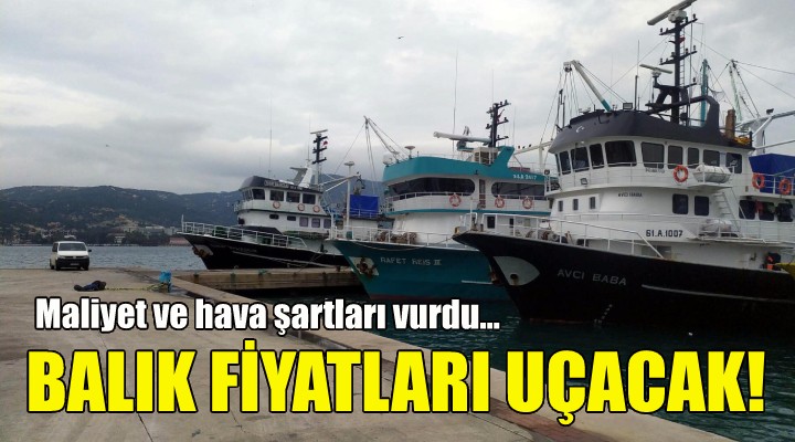 Balık fiyatları uçacak!