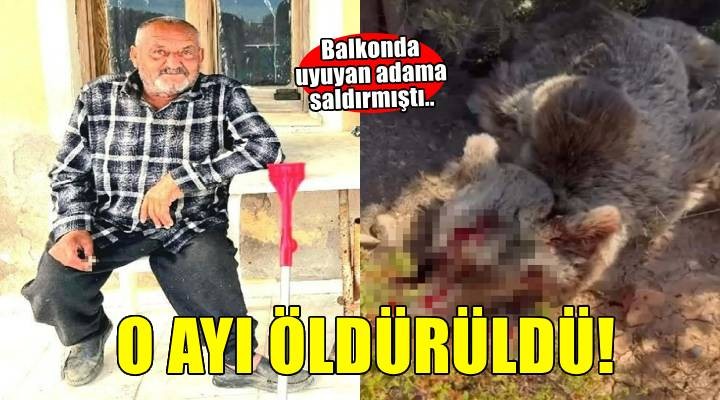 Balkonda uyuyan kişiye saldırıp öldüren ayı vuruldu