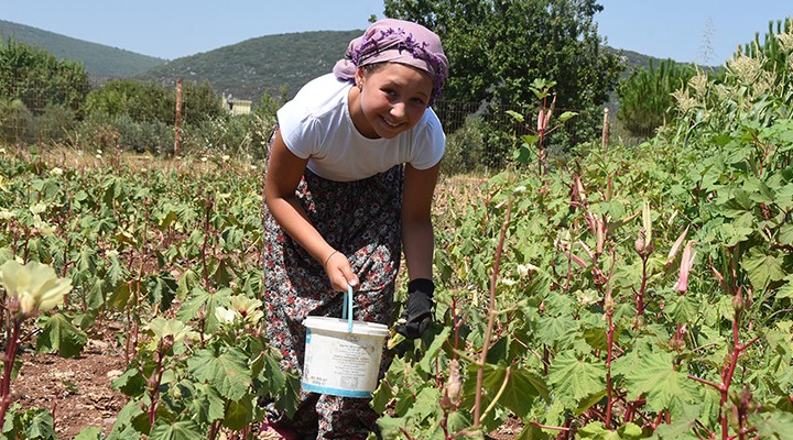 Bamba fiyatları el yakıyor