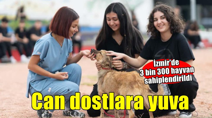 Barınaklardan 3 binin üzerinde hayvan sahiplendirildi