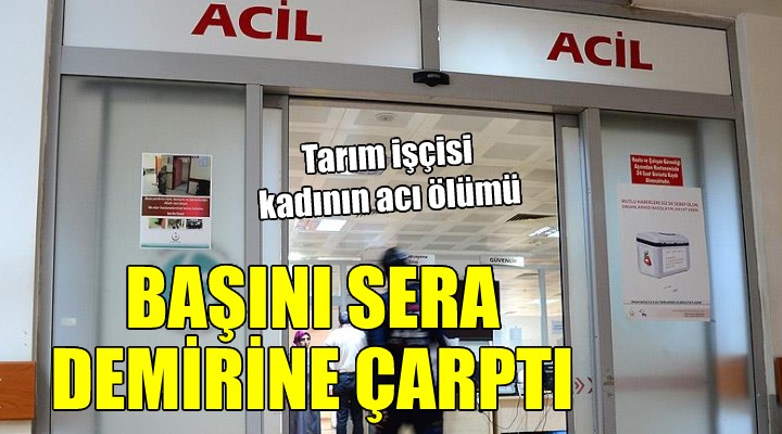 Başını sera demirine çarpan kadın hayatını kaybetti