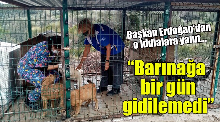 Başkan Erdoğan dan  Hayvanlar aç kaldı  iddiasına yanıt...