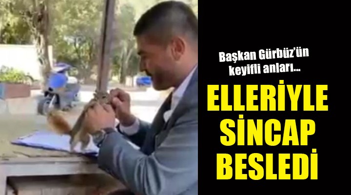 Başkan Gürbüz elleriyle sincap besledi!