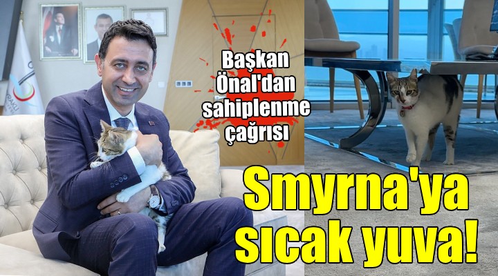 Başkan Önal yaralı kediyi sahiplendi...