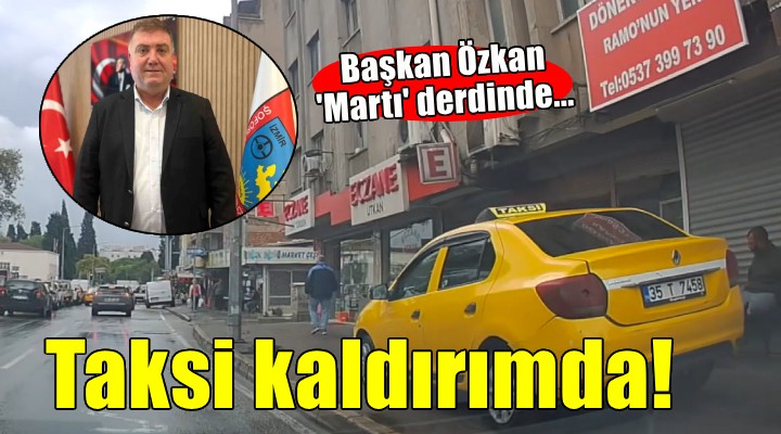 Başkan Özkan  Martı  ile uğraşırken taksiciler kaldırımda gidiyor!