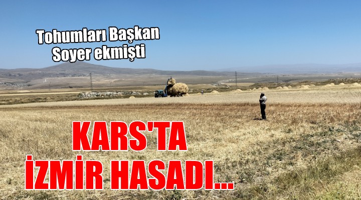 Başkan Soyer in Kars ta ektiği tohumlar hasat ediliyor!