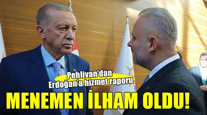 Başkanvekili Pehlivan dan Erdoğan a hizmet raporu...