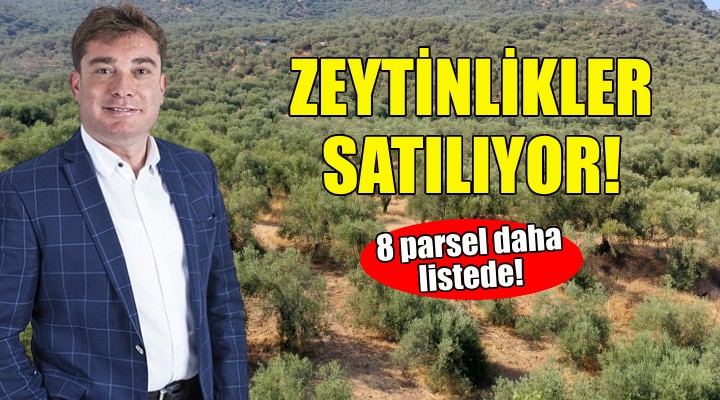 Bayındır Belediyesi 8 parseli daha satıyor!