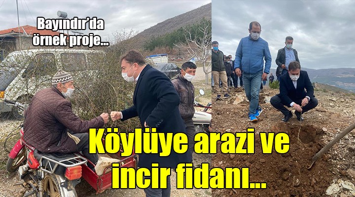 Bayındır da örnek proje... Köylüye arazi ve incir fidanı!