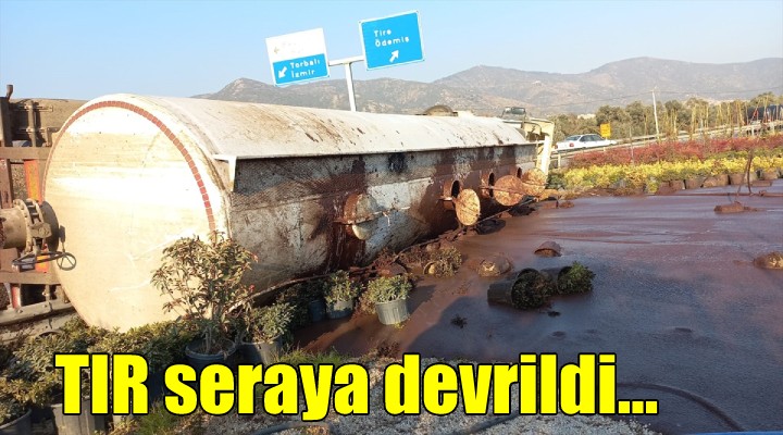 Bayındır da pirina yüklü TIR çiçek serasına devrildi