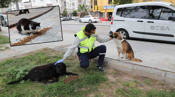 Bayraklı da can dostlar unutulmadı