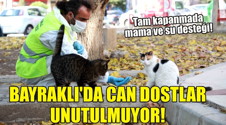 Bayraklı da can dostlar unutulmuyor!