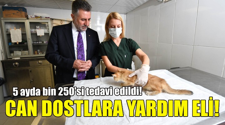 Bayraklı da can dostlara yardım eli!