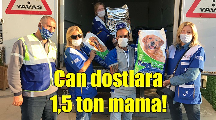 Bayraklı da depremzede can dostlara 1,5 ton mama!