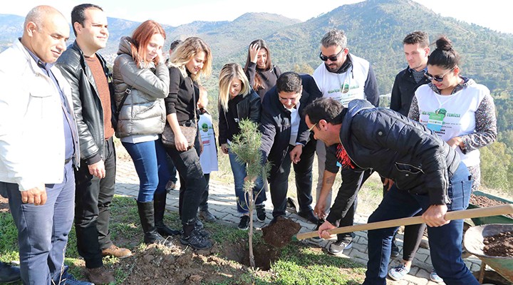 Bayraklı da fidan seferberliği