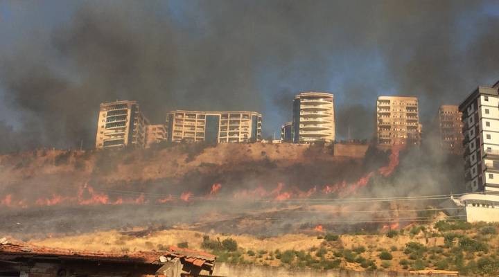 Bayraklı da orman yangını