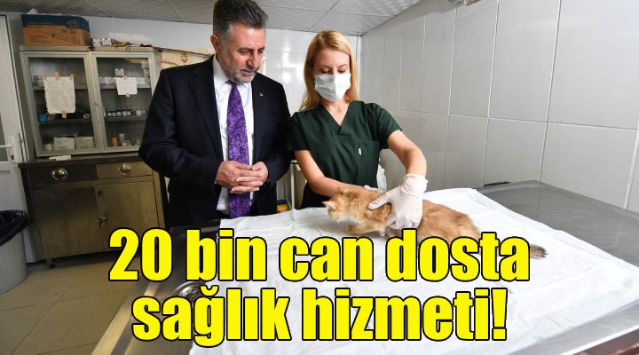 Bayraklı’da son 4,5 yılda 20 bin sokak hayvanına sağlık hizmeti!