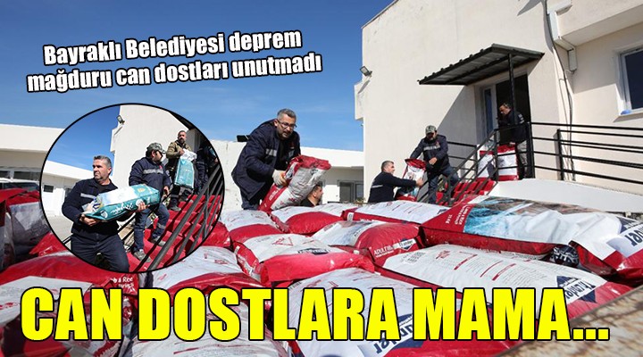 Bayraklı’dan deprem mağduru can dostlara mama desteği...