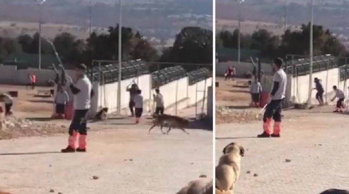 Konya daki vahşet... Kendilerini böyle savundular!