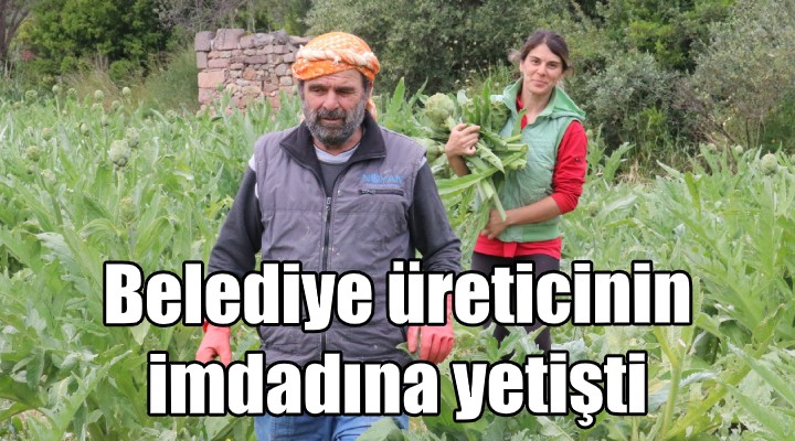 Belediye enginar üreticisinin imdadına yetişti