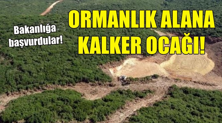 Bergama da ormanlık alana kalker ocağı!