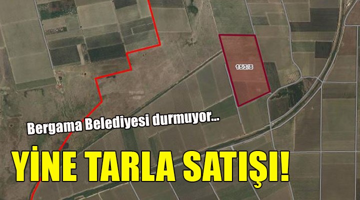 Bergama da yine tarla satışı!