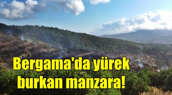 Bergama da yürek burkan manzara!