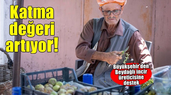 Beydağ incirinin katma değeri artıyor