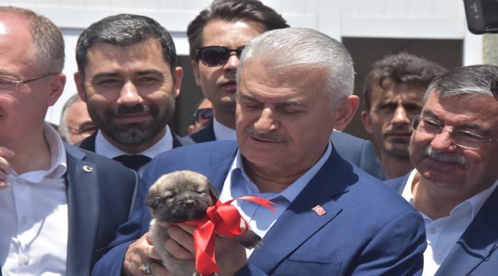 Binali Yıldırım dan  Kürdistan  açılımı