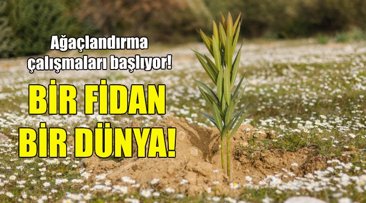 Bir Fidan Bir Dünya...Ağaçlandırma çalışmaları başlıyor!