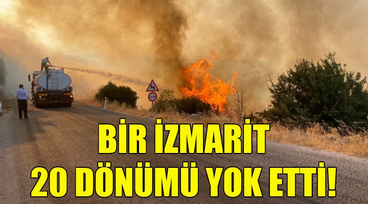 Bir izmarit 20 dönümü yok etti!