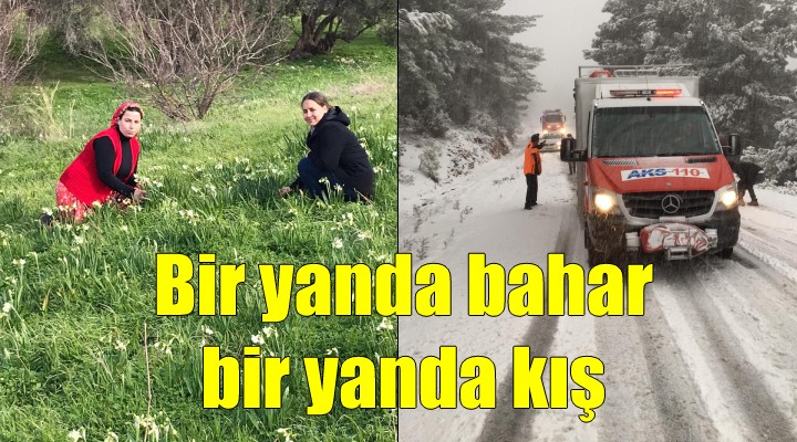 Bir yanda bahar, bir yanda kış!