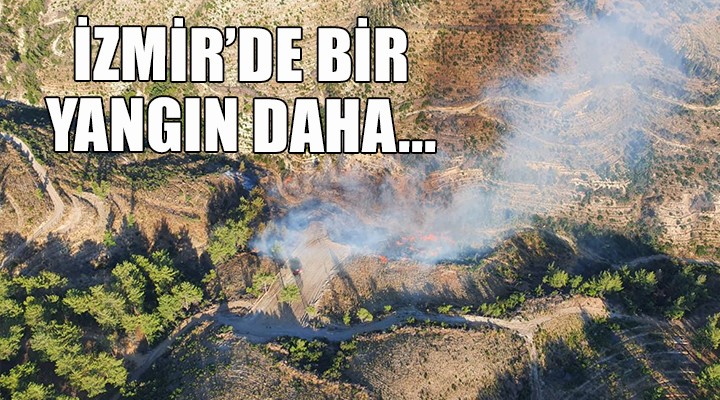 İzmir de bir yangın daha