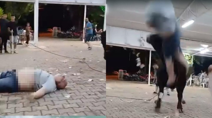 Boğaya para atmak istedi, boynuz darbesiyle havaya uçtu!