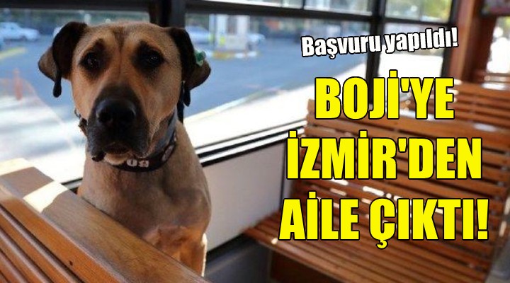 Boji ye İzmir den aile çıktı!