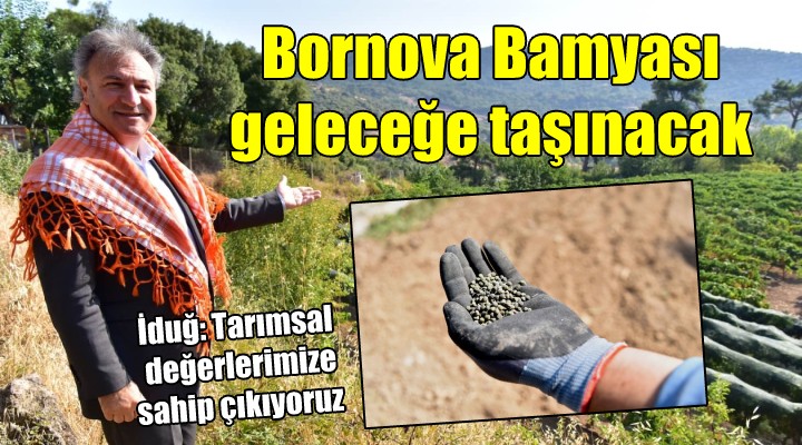 Bornova Bamyası geleceğe taşınacak...