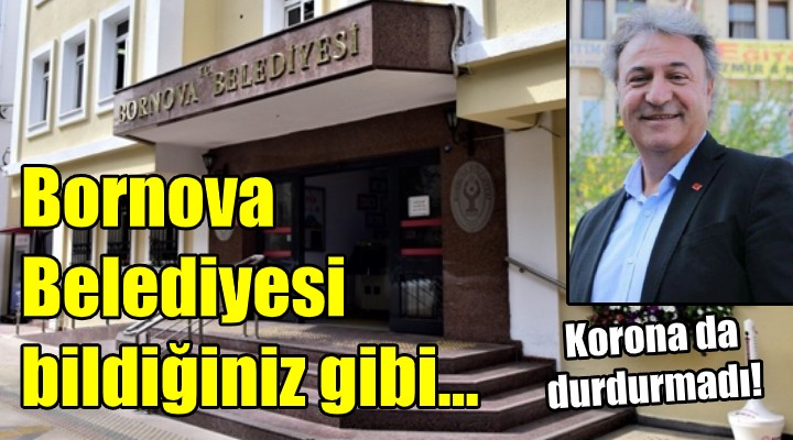 Bornova Belediyesi bildiğiniz gibi! Korona da durdurmadı...