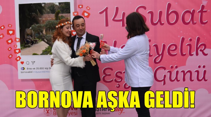 Bornova aşka geldi!